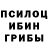 Псилоцибиновые грибы Psilocybine cubensis gangrter bro