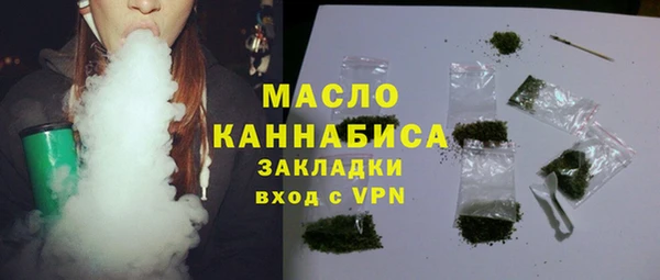 СК Алексин