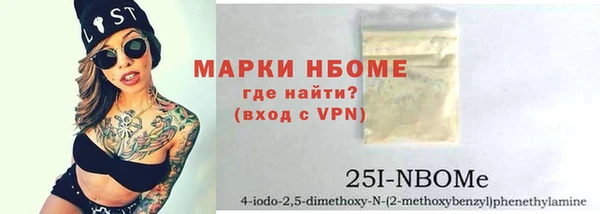 СК Алексин
