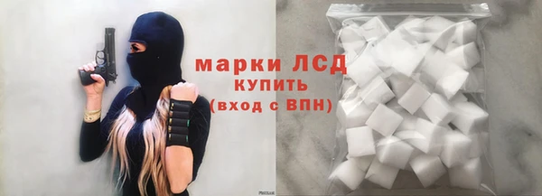 СК Алексин