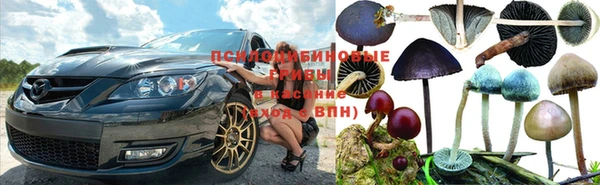 СК Алексин