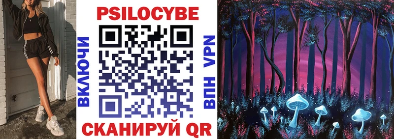 Галлюциногенные грибы Psilocybe Южно-Сухокумск
